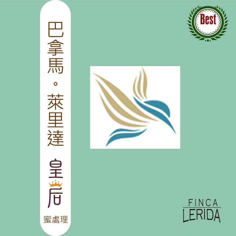 TreesWind 巴拿马 莱里达 皇后 滤挂咖啡 - 咖啡 - 其他材质 