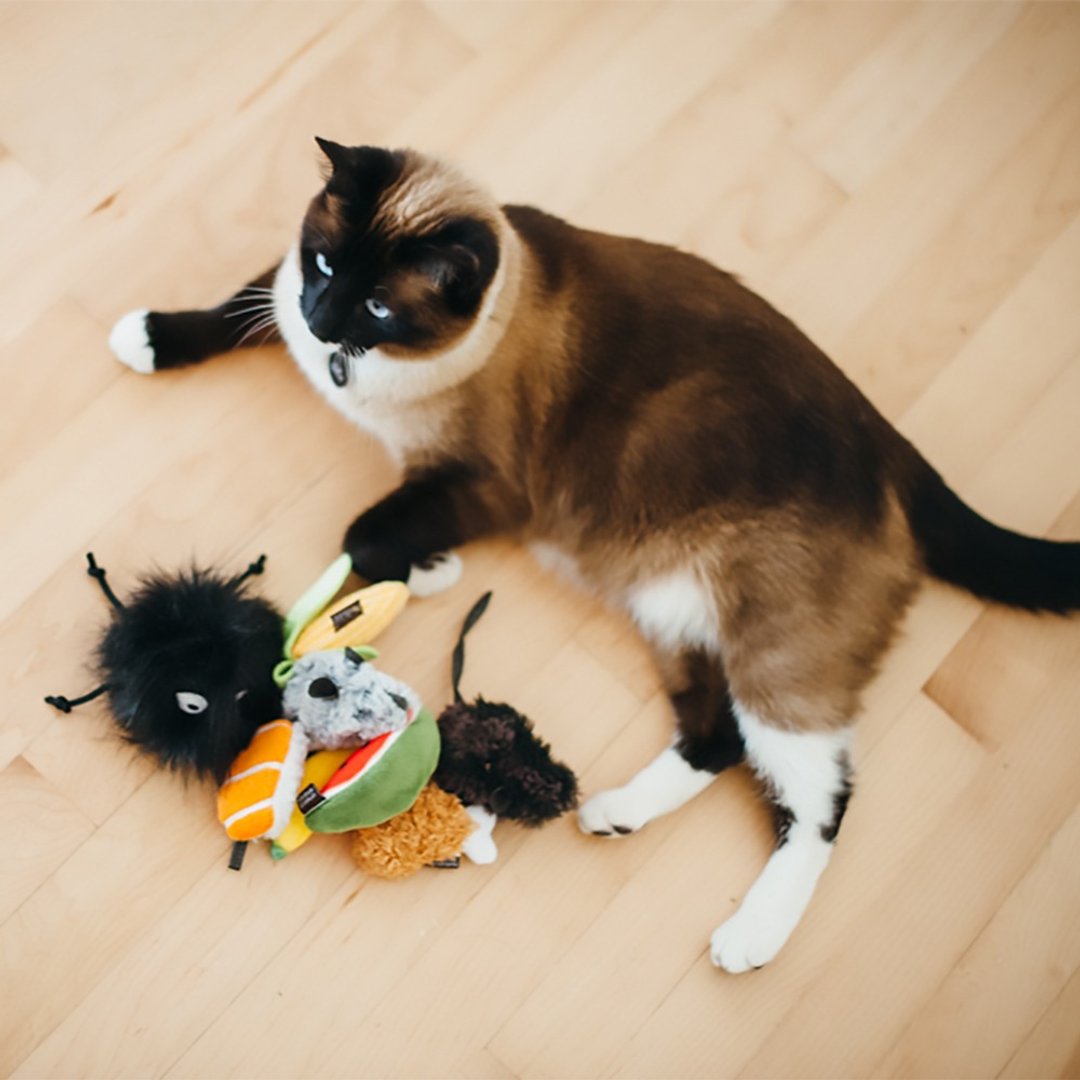 【猫玩具 狂野猫咪 美食系列】猫草 逗猫 宠物 - 玩具 - 环保材料 