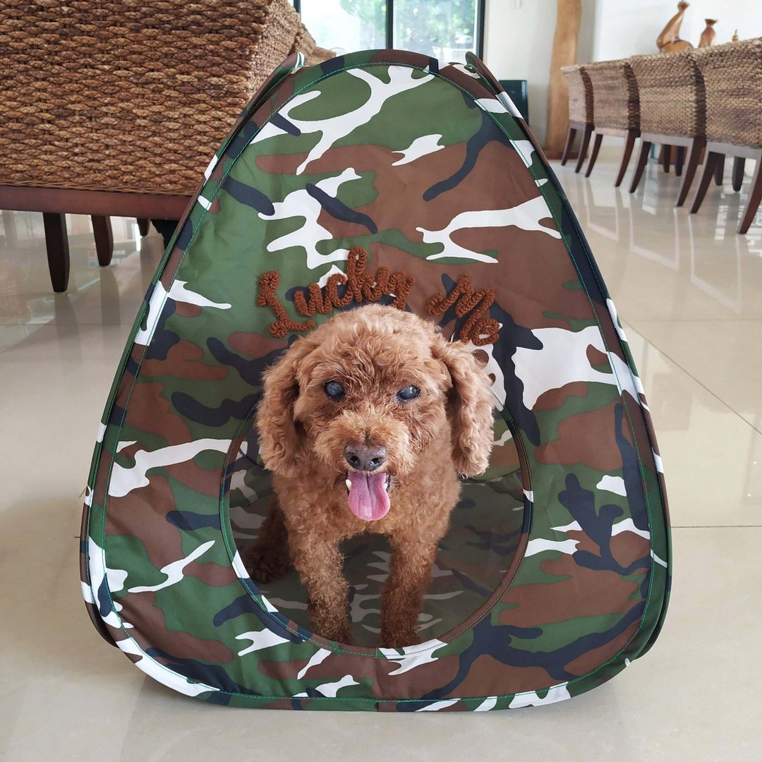 帐篷隧道组 - 丛林迷彩 小型犬 大猫咪 可拆式床垫 - 床垫/笼子 - 其他人造纤维 绿色