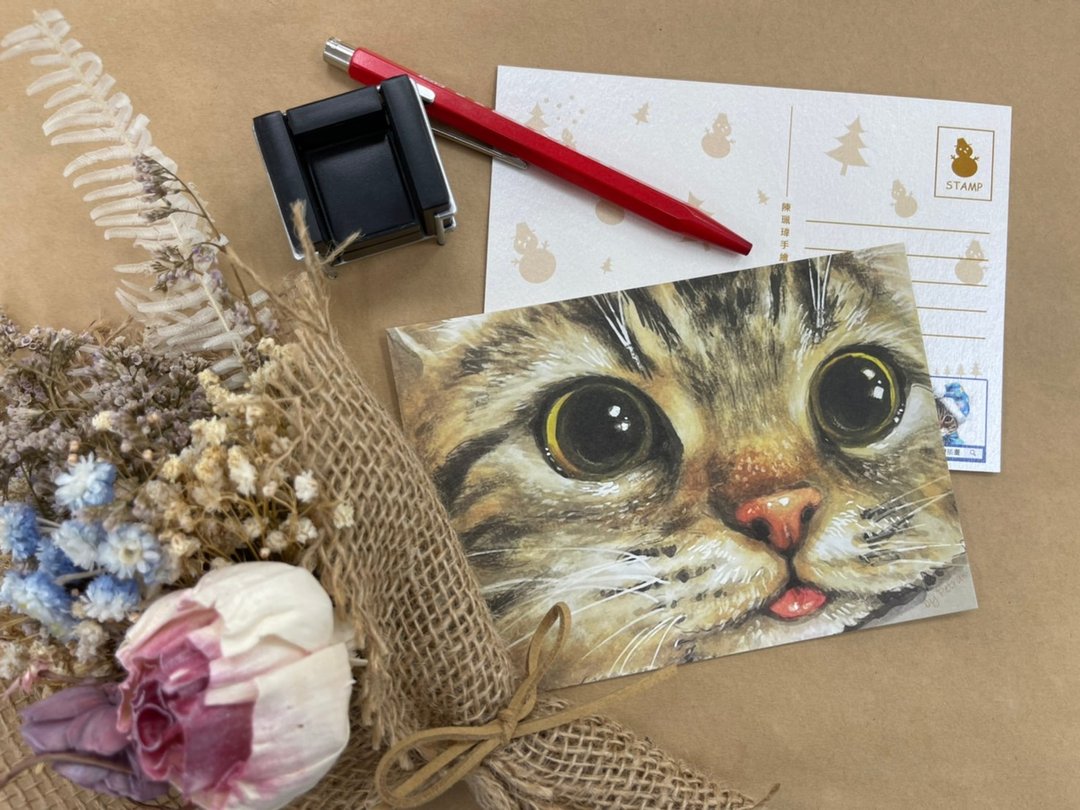 \ 假猫奴系列 /  满版猫猫祝福明信片 - 卡片/明信片 - 纸 