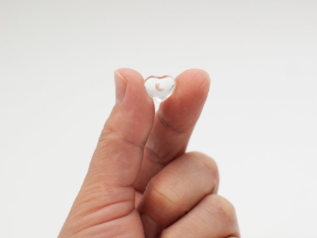 Embryo 3-4 weeks, mini heart, bereavement fetus, Sculpture cast in resin - 玩偶/公仔 - 树脂 