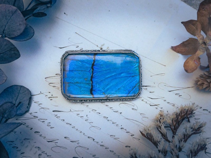 斑纹闪蝶翅八角长方胸针—欧洲英国古董首饰 Vintage Jewelry - 胸针 - 纯银 