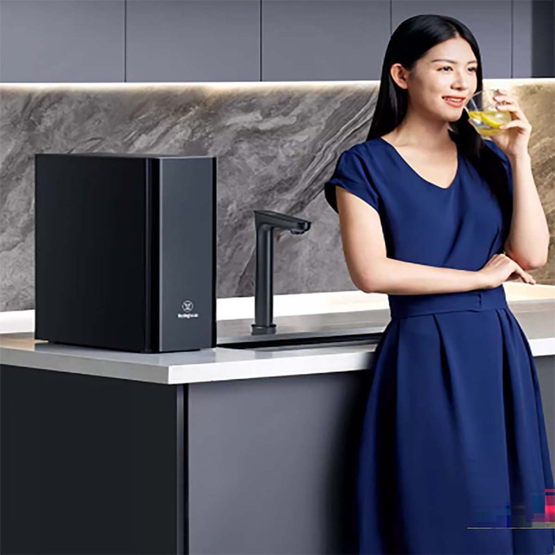 【免运】家用直饮一体机反渗透厨下净水器 Westinghouse S600/800 - 厨房用具 - 其他材质 黑色