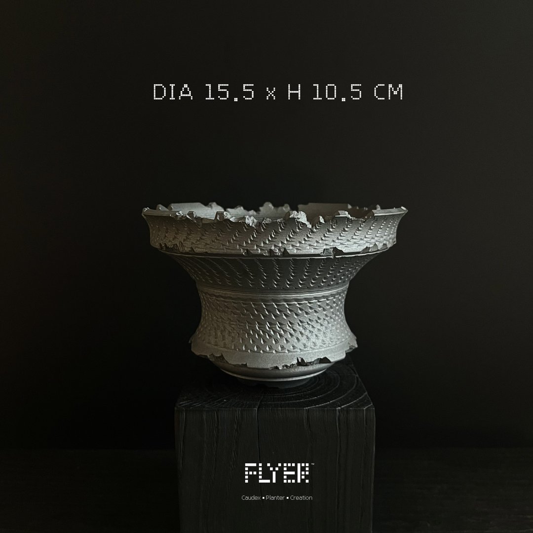 FLYER黑泥系列 块根多肉植物陶盆器 龙舌兰象牙宫盆器 - 花瓶/陶器 - 陶 