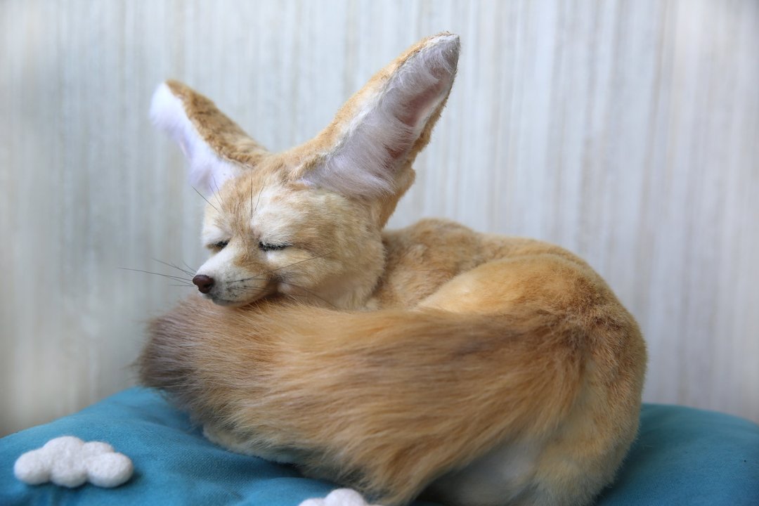 Fennec Fox realistic plush toy.Sleeping fox cub. Ooak doll. Art doll animalals - 玩偶/公仔 - 其他材质 白色