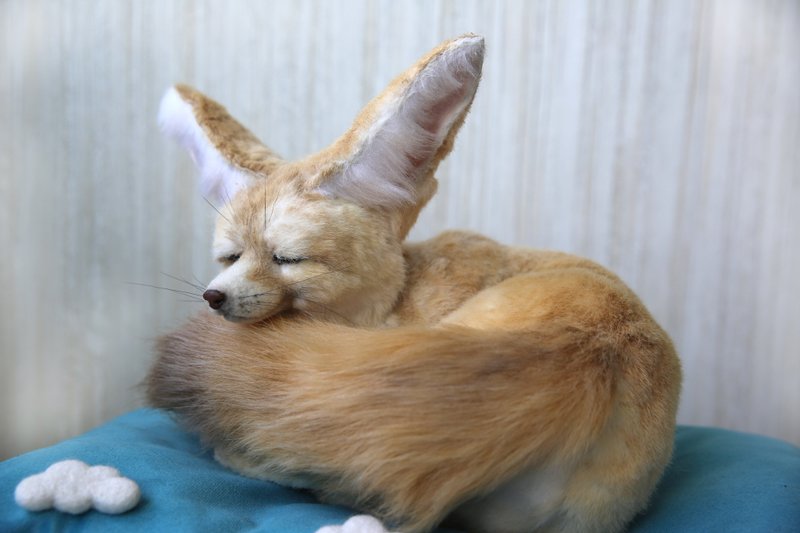 Fennec Fox realistic plush toy.Sleeping fox cub. Ooak doll. Art doll animalals - 玩偶/公仔 - 其他材质 白色