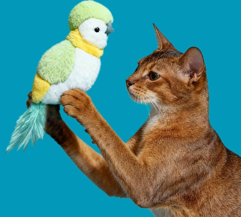 【小鹦鹉】宠物发声陪伴/磨牙耐咬玩具 - 玩具 - 其他材质 绿色