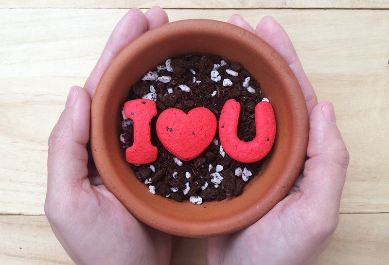 【天天说爱你】I Love U 字母种子球植栽组 - 植栽/盆栽 - 纸 