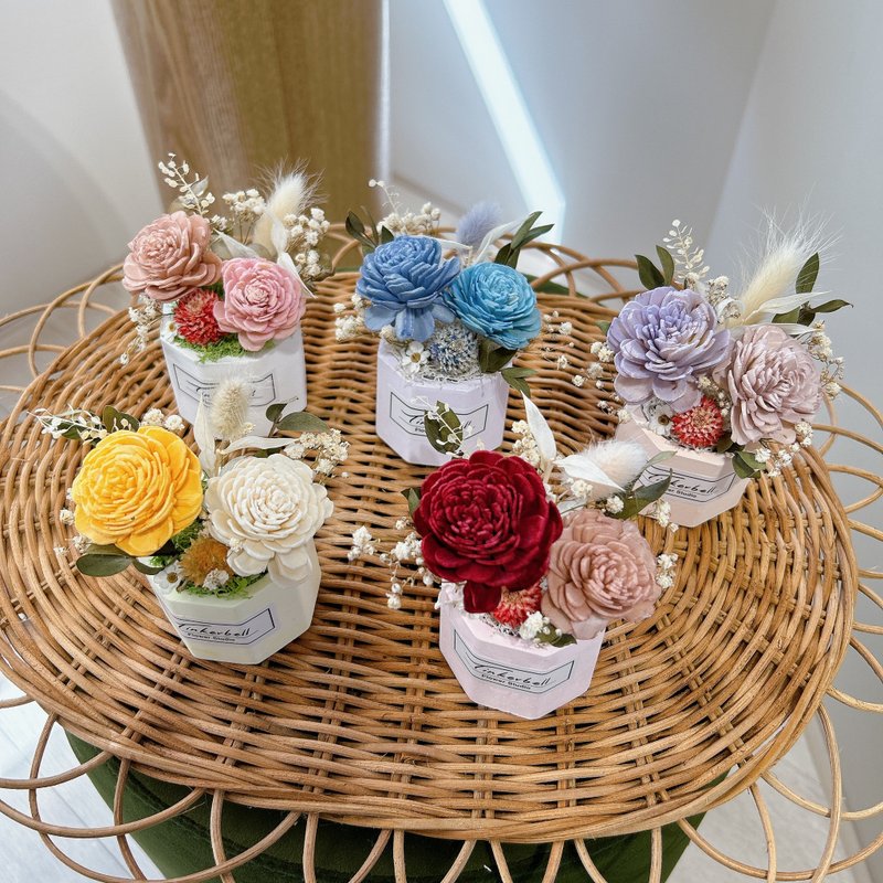 香香花园 扩香盆栽 桌花 干燥花 香氛 婚礼小物 赠礼  附盒 - 干燥花/捧花 - 植物．花 多色