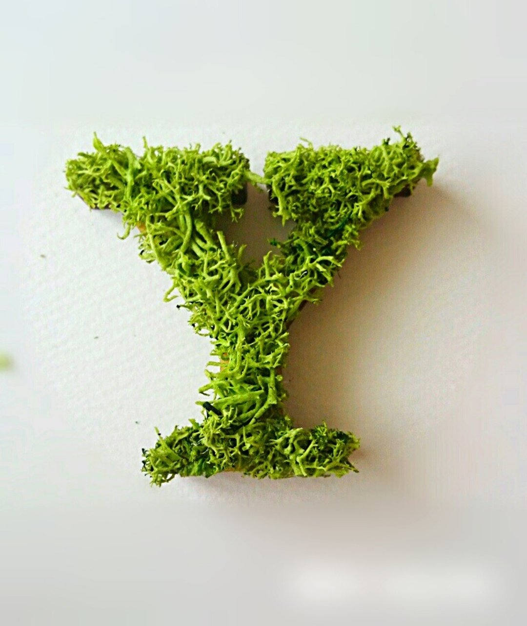 Wooden Alphabet Object (Moss) 5cm/Yx 1 piece - 摆饰 - 木头 绿色