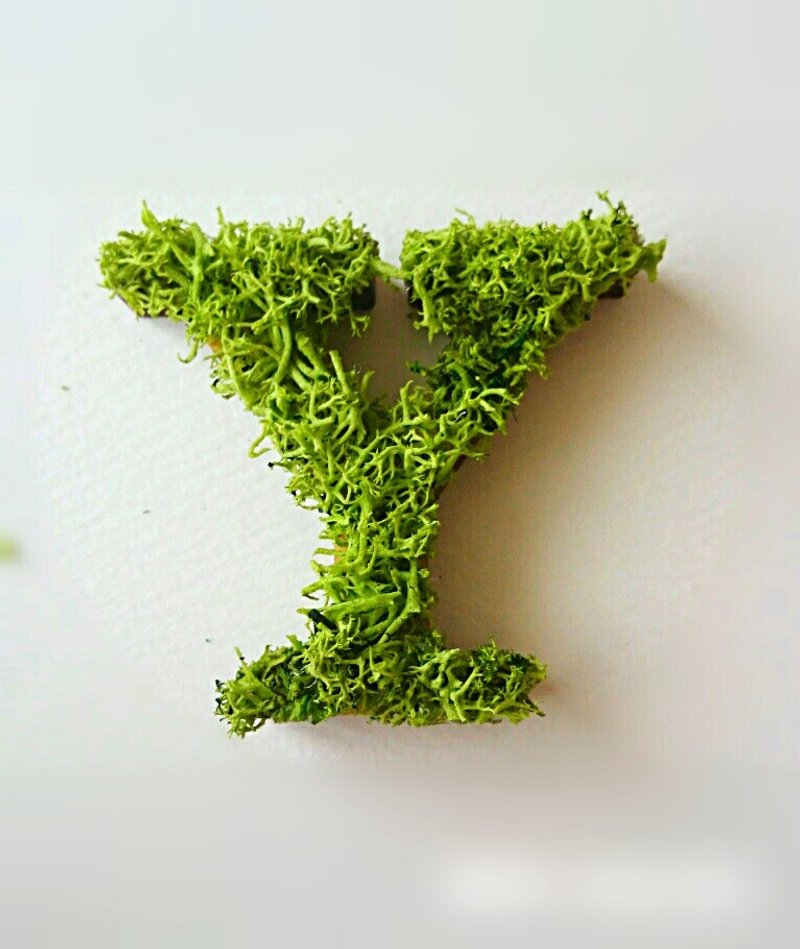 Wooden Alphabet Object (Moss) 5cm/Yx 1 piece - 摆饰 - 木头 绿色