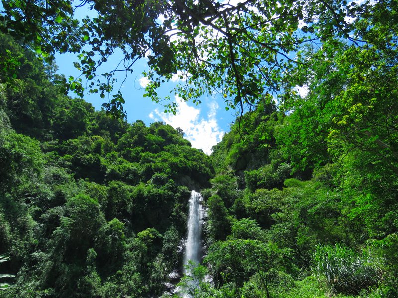 瓦拉米亲子古道健行・最凉爽的蕨之道・免费市区接驳 - 深度旅游 - 其他材质 