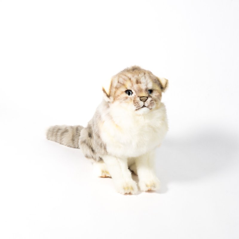 Hansa 8648-苏格兰折耳猫坐姿 37厘米 - 玩偶/公仔 - 环保材料 卡其色