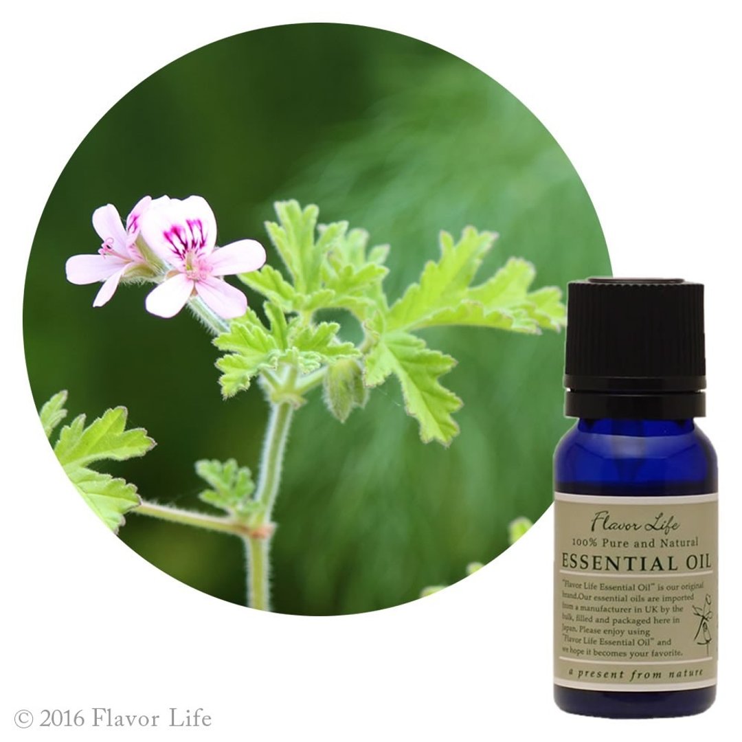 【玫瑰天竺葵精油】Pelargonium graveolens (Geranium) - 香薰/精油/线香 - 精油 绿色