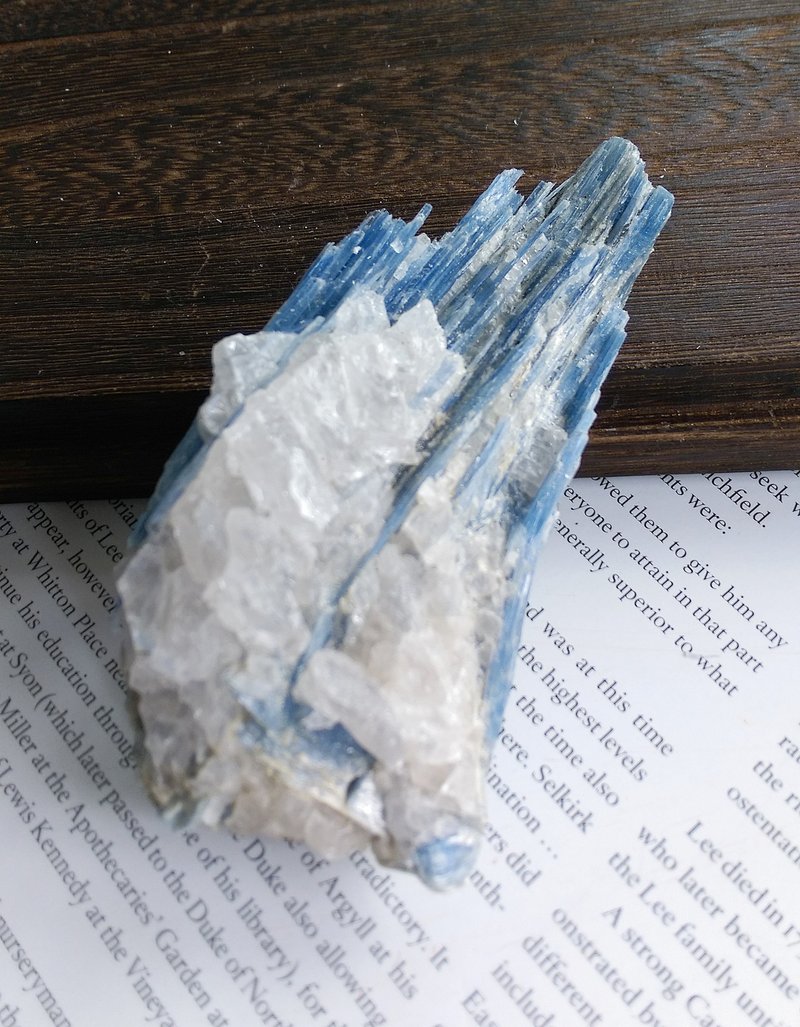 Kyanite 巴西产地 蓝晶石 石英共生矿 天然矿石 原矿 - 摆饰 - 其他材质 
