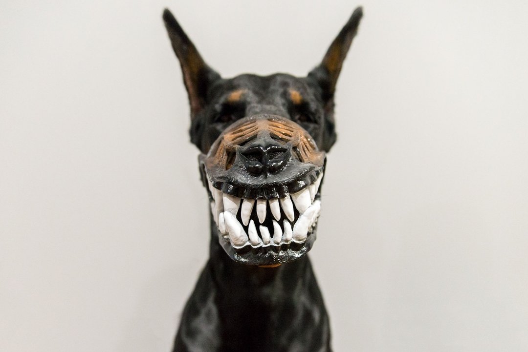 Werewolf Bloodless Dog muzzle Scary Doberman muzzles Pet Gift Halloween Costume - 其他 - 塑料 