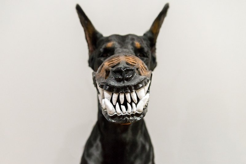 Werewolf Bloodless Dog muzzle Scary Doberman muzzles Pet Gift Halloween Costume - 其他 - 塑料 