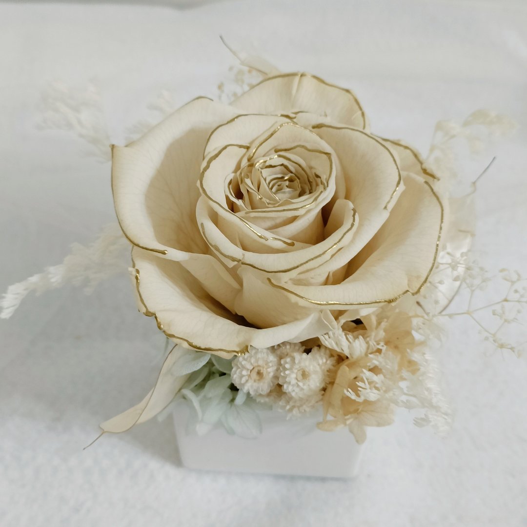 蓝金永生玫瑰桌花 母亲节永生康乃馨花束盆花送礼物盒蛋糕卡片毕 - 植栽 - 植物．花 白色