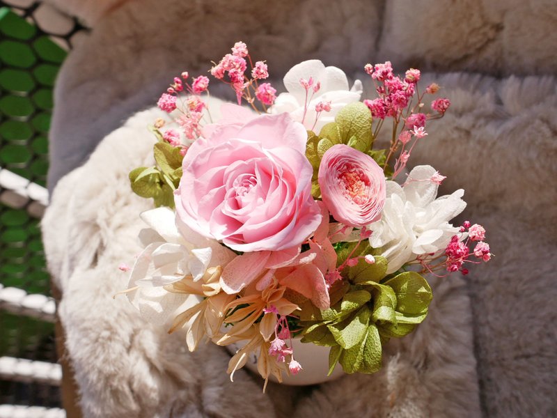 不凋玫瑰 圆桌花 极度花燥 永生花 花礼 - 干燥花/捧花 - 植物．花 多色