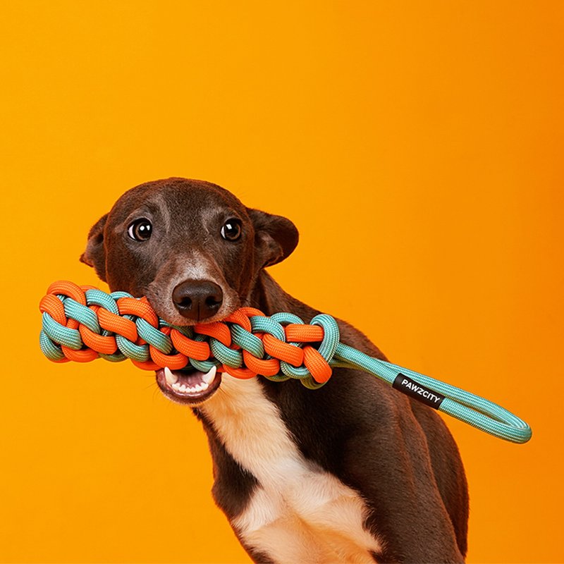 狗狗巡回都市霓虹麦穗 - 玩具 - 聚酯纤维 