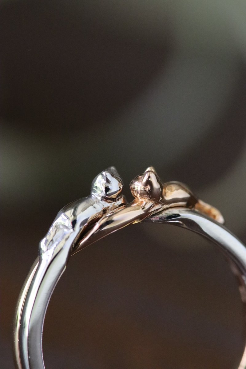 PREMIUM CAT 拥吻吉梅尔戒指 - 戒指 - 贵金属 多色