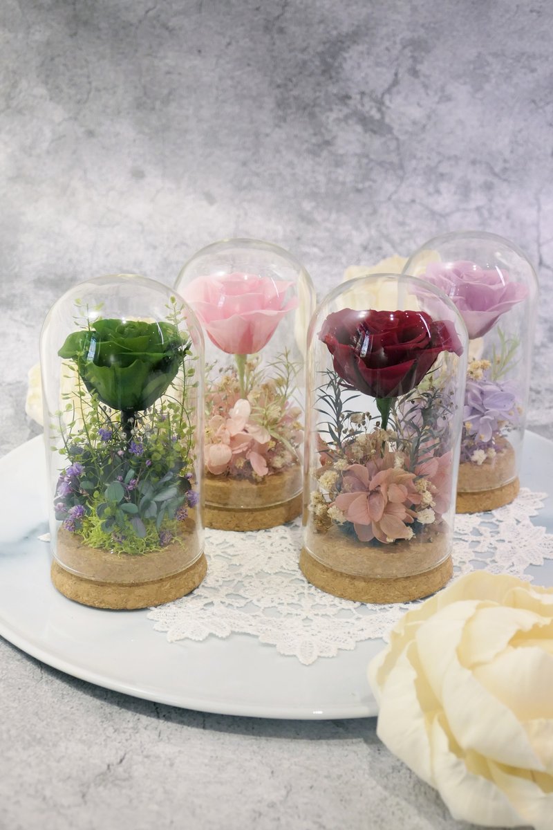 Rosemary小小花园玻璃罩-绽放  永生花/情人节/生日/毕业礼物 - 干燥花/捧花 - 植物．花 多色