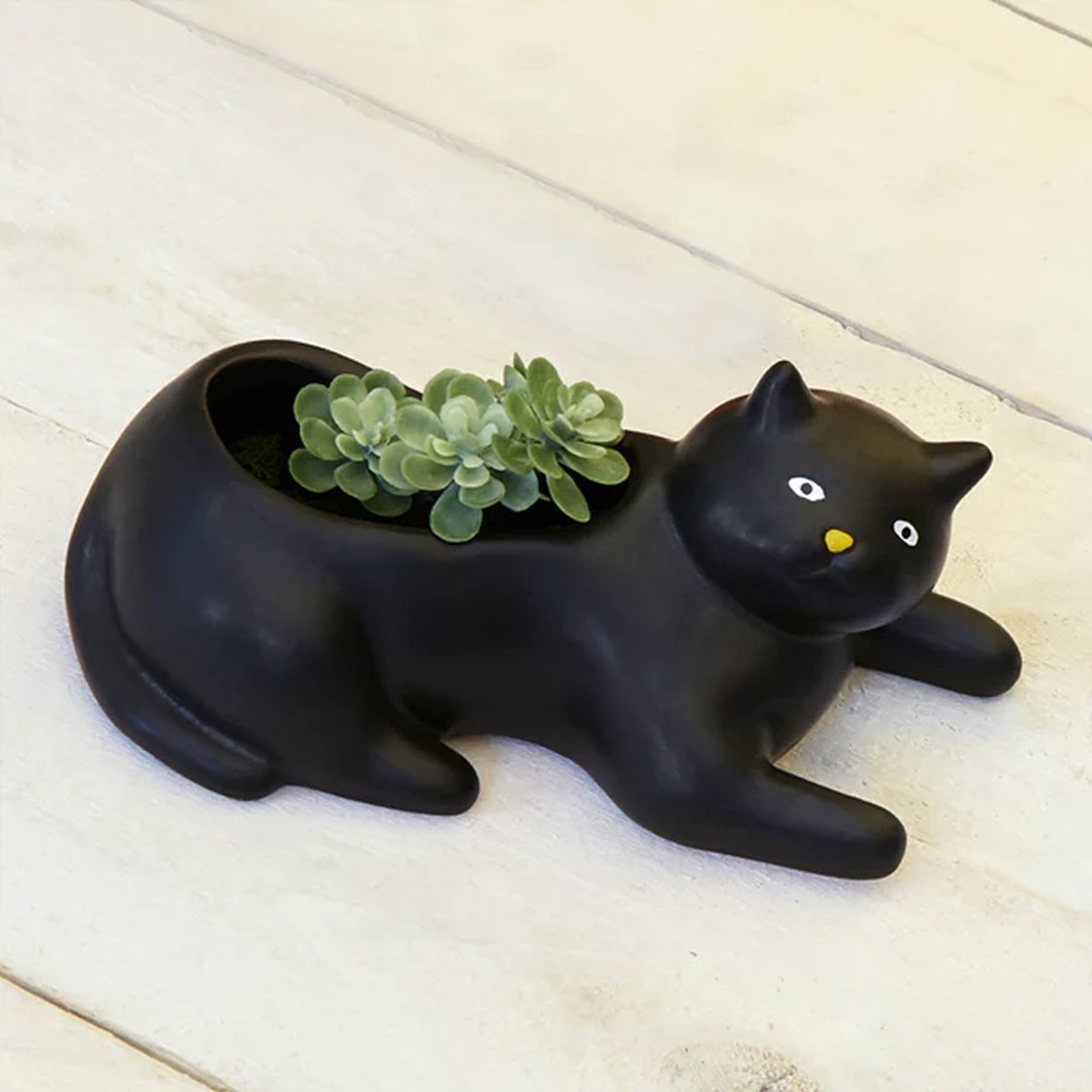 美国 Kikkerland 黑猫花盆 可爱多肉花盆迷你花器 桌面装饰摆件 - 摆饰 - 陶 黑色