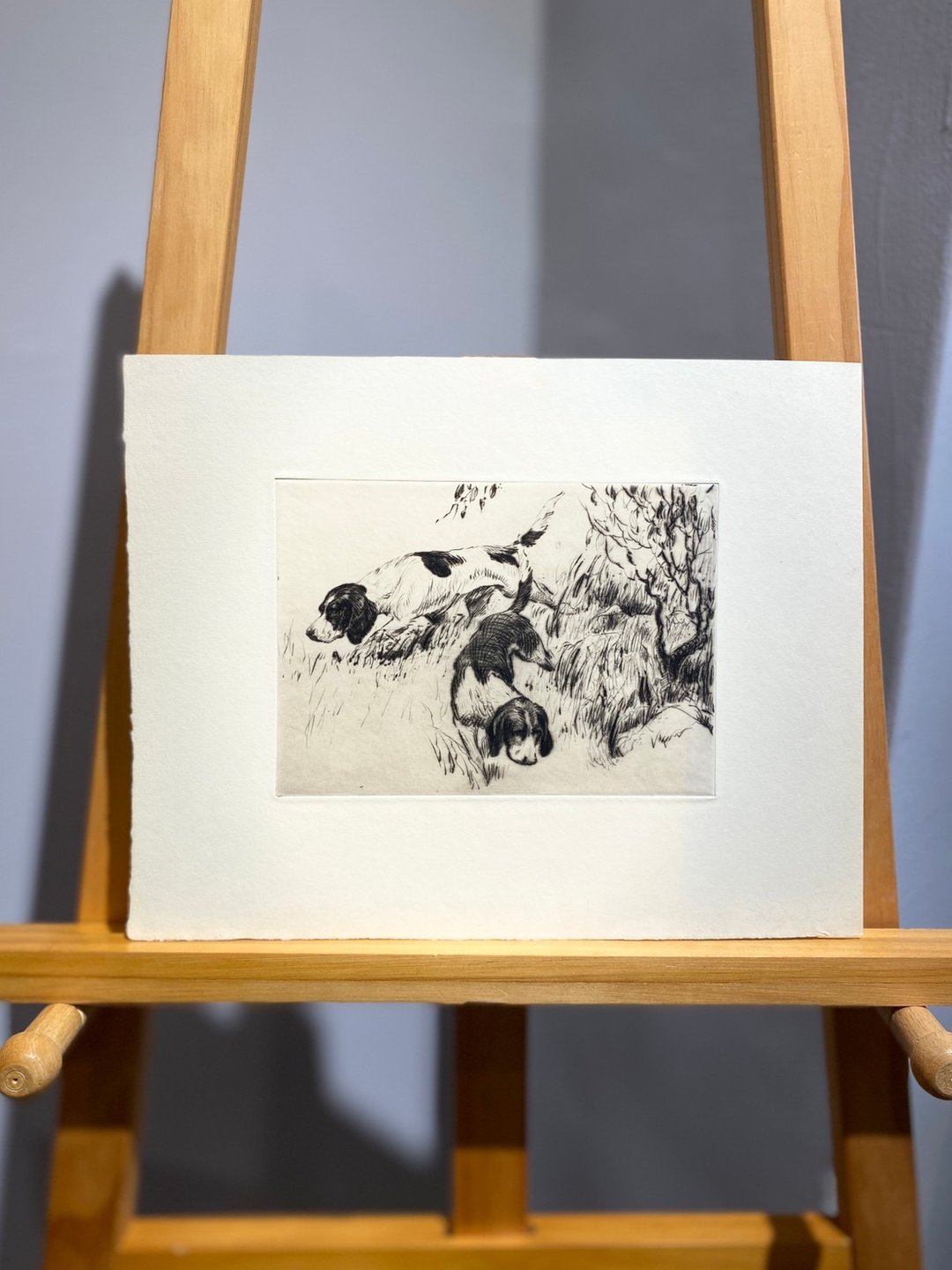 华盛顿DC艺术家Morgan Stinemetz-嗅闻中的梗犬-蚀刻版画-Etching - 海报/装饰画/版画 - 纸 白色
