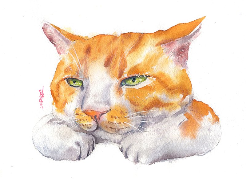 水彩原画【厌世橘猫】 - 墙贴/壁贴 - 纸 橘色