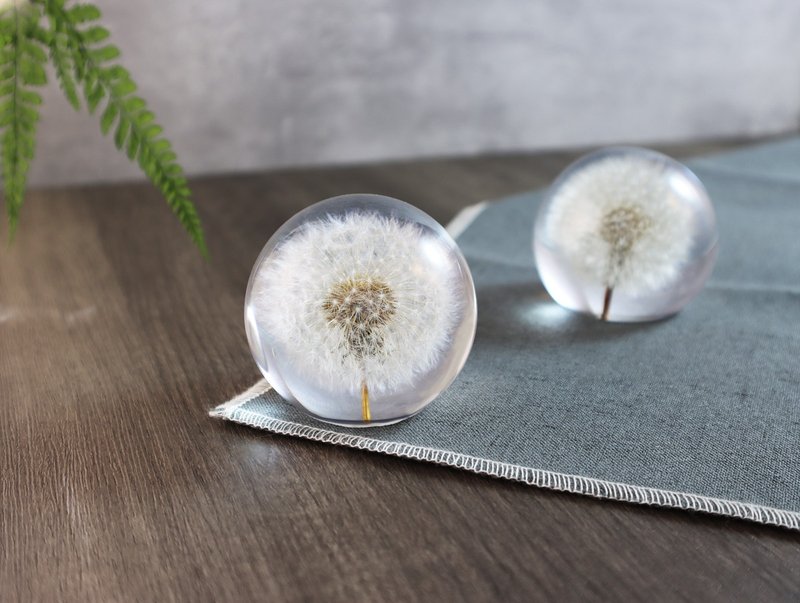 梦天涯 蒲公英冰晶球 - 摆饰 - 树脂 白色