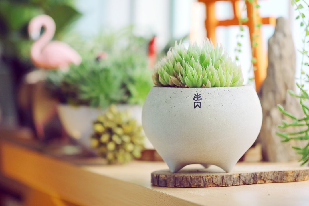 水泥盆-胖圆盆 - 植栽/盆栽 - 水泥 灰色