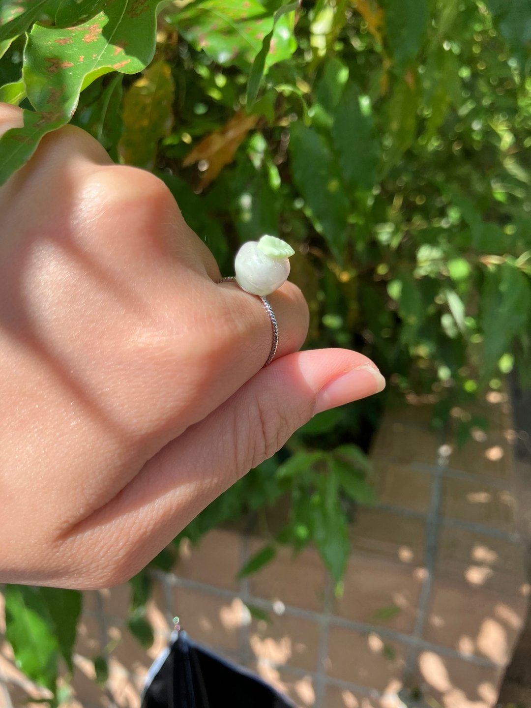 苹果引力 彩色苹果 手作戒指| 植椛。饰 小众设计品牌 - 戒指 - 树脂 多色