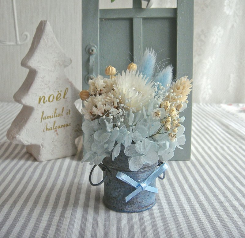 Masako 干燥花 不凋花 日杂风马口铁小花礼 礼物  限量 - 植栽/盆栽 - 植物．花 蓝色