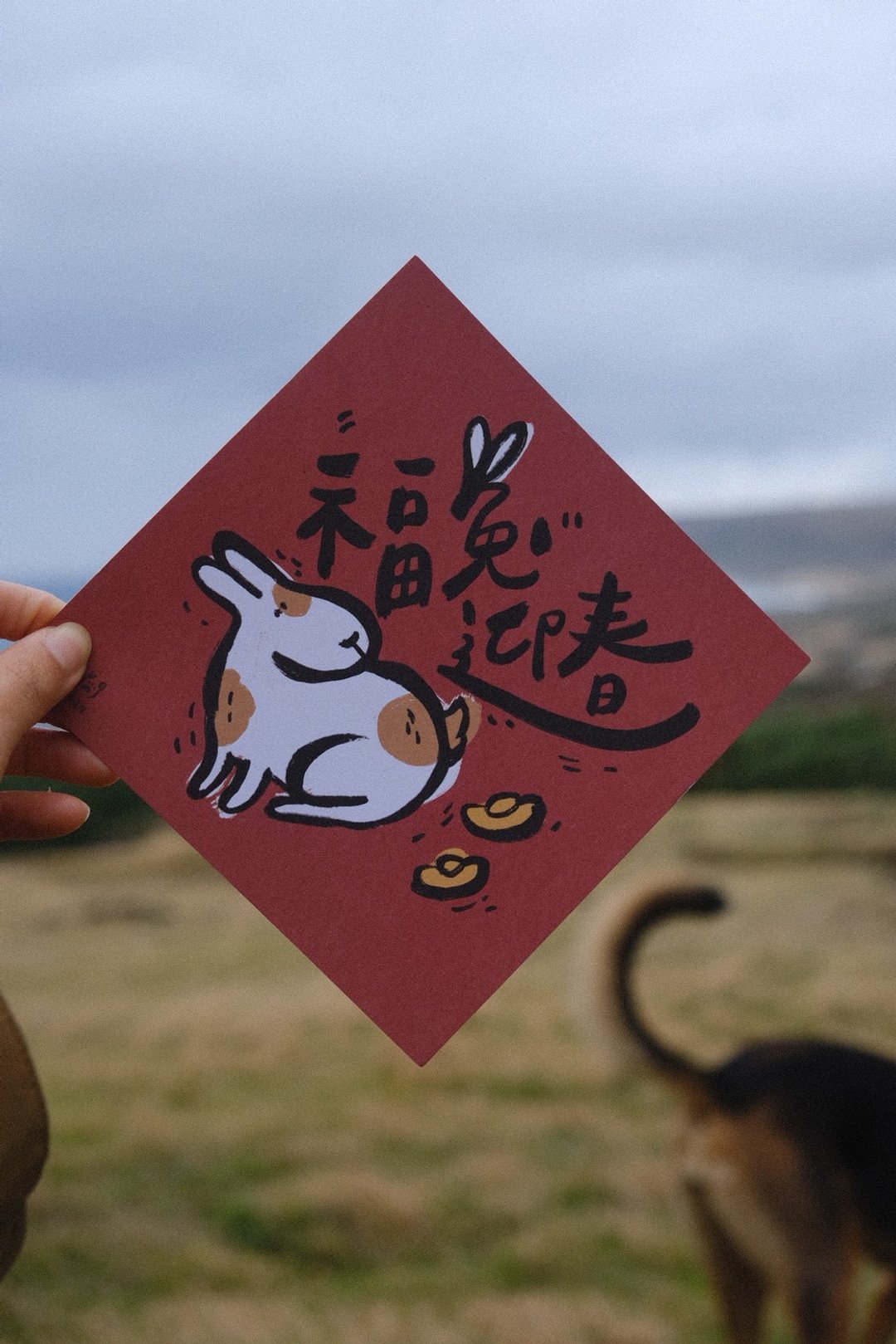 兔年给你/ 福兔迎春春联 - 红包/春联 - 纸 