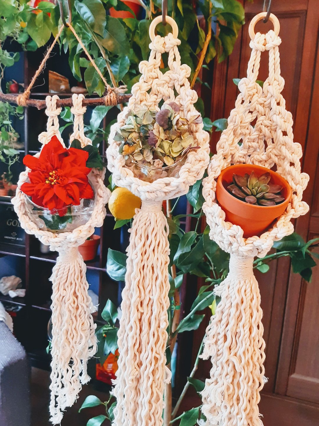MACRAME PLANT HANGER Drop Shape - 墙贴/壁贴 - 棉 白色