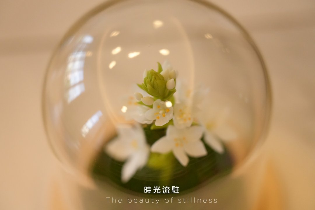 手作黏土花艺——朱雀  玻璃罩款  家饰  独特礼物 - 摆饰 - 粘土 白色