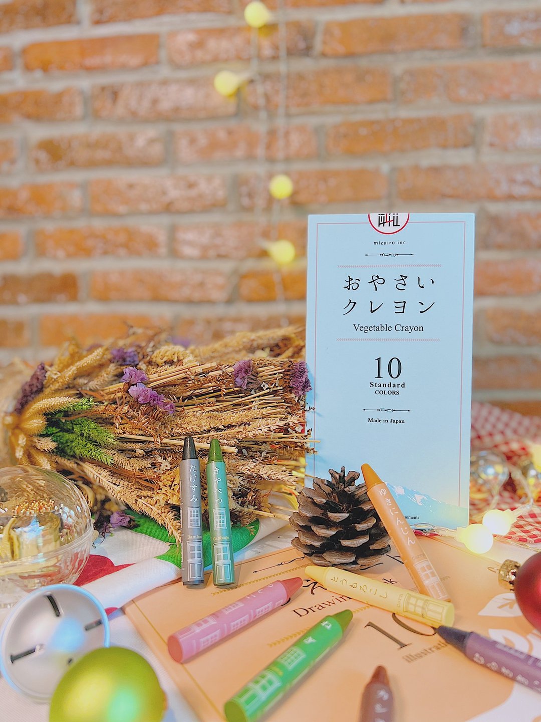 COMBO SET: Vegetable Crayons & Coloring Book - 玩具/玩偶 - 植物．花 