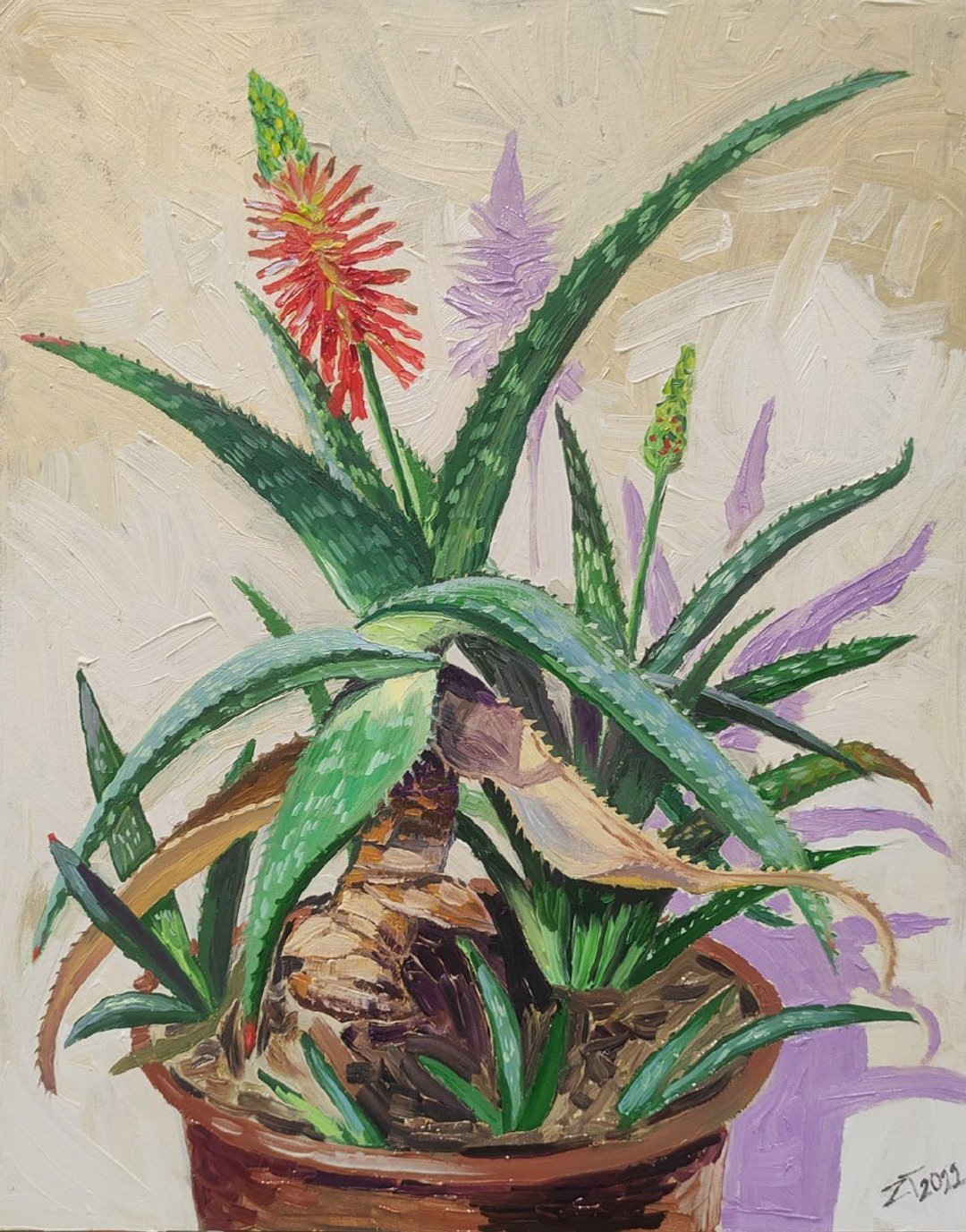 Original oil painting Aloe plant Floral art 15 by 19 inches by ZazullaArt - 墙贴/壁贴 - 其他材质 绿色