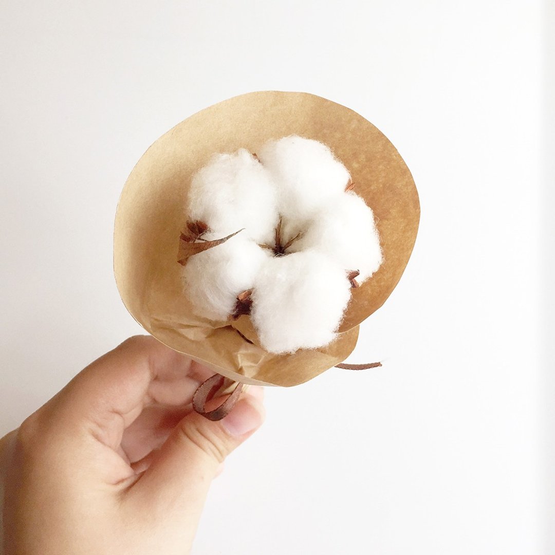 【Q-cute】干燥花小花束系列-小小棉花 - 植栽/盆栽 - 植物．花 白色