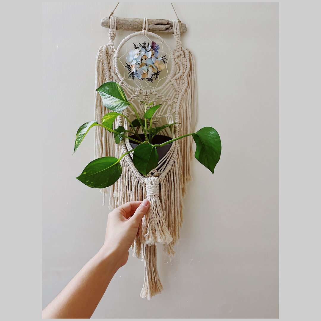 macrame/补梦网植物吊篮 - 摆饰 - 棉 