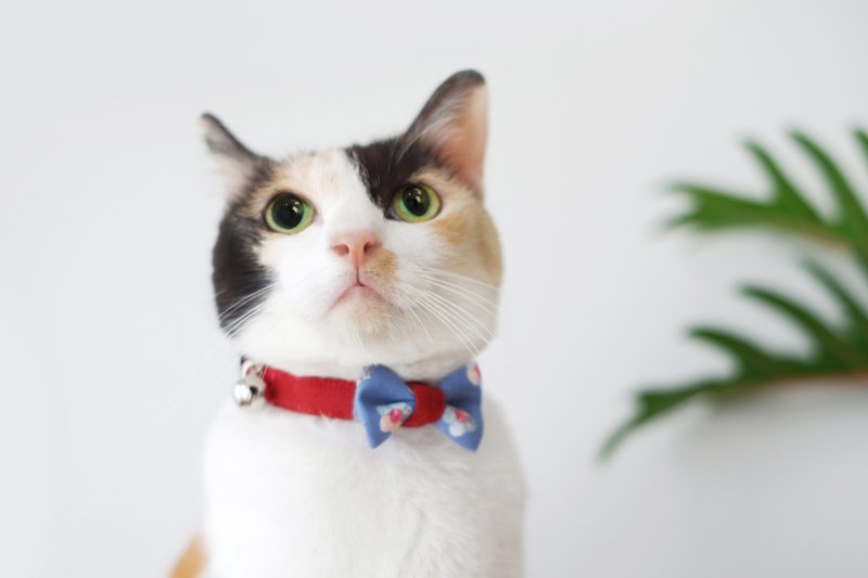 Tropicana - Two-tone, Red & Blue : Adult Personalized Breakaway Cat Collar - 项圈/牵绳 - 其他材质 红色