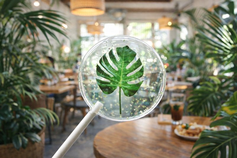 创意棒棒糖－森叶午后 - 零食/点心 - 新鲜食材 多色