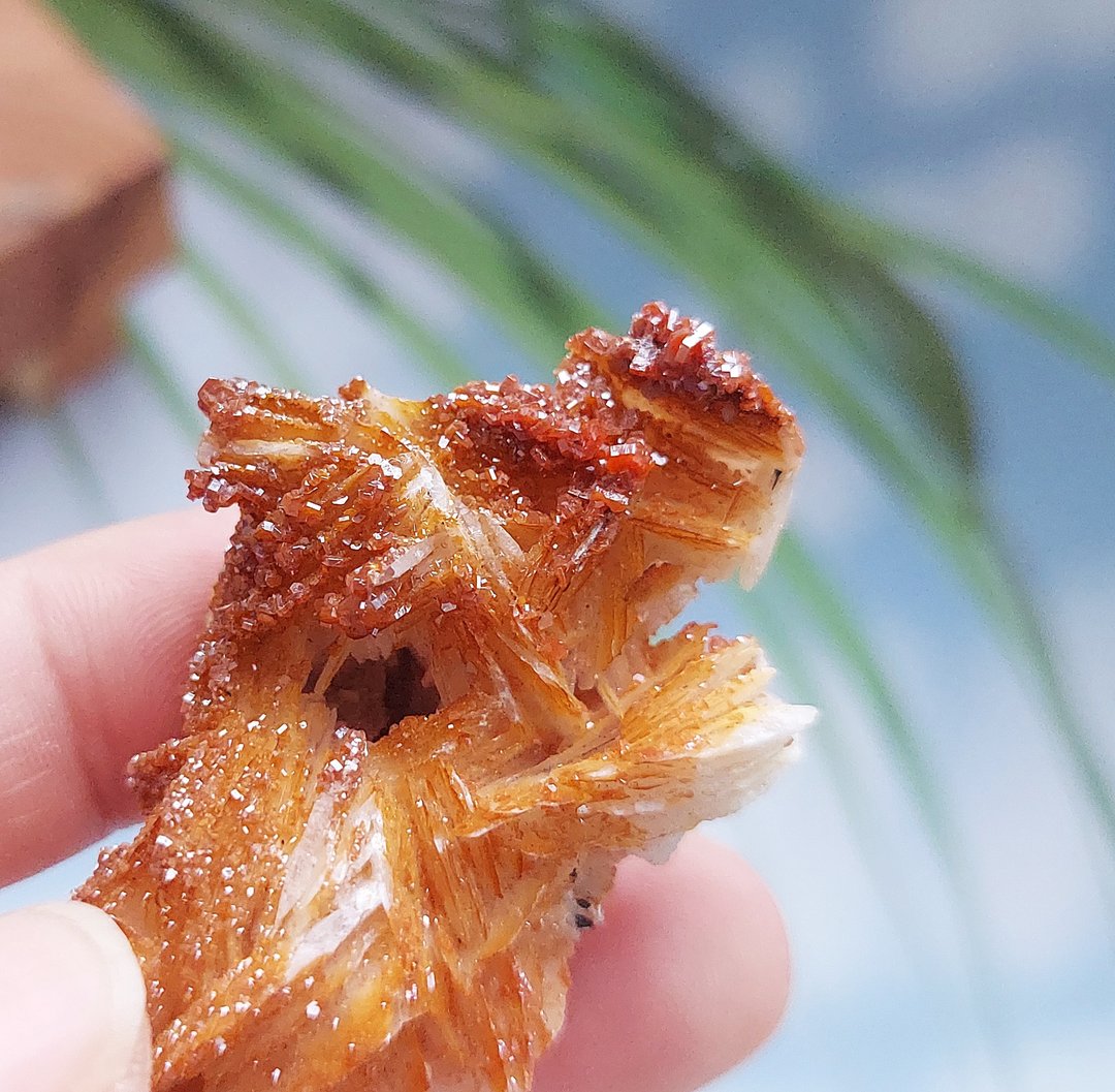 Vanadinite 摩洛哥产地 钒铅矿 天然矿石 原矿 - 摆饰 - 其他材质 
