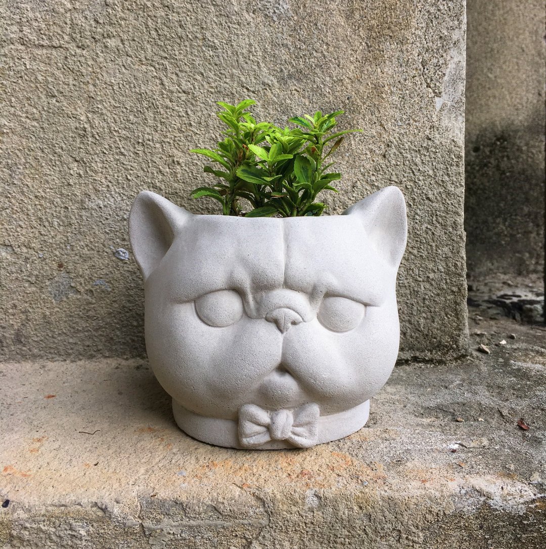【订制需等待】扁脸猫 水泥盆 猫咪 开店 交换礼物 圣诞礼盒 花礼 - 植栽/盆栽 - 水泥 灰色