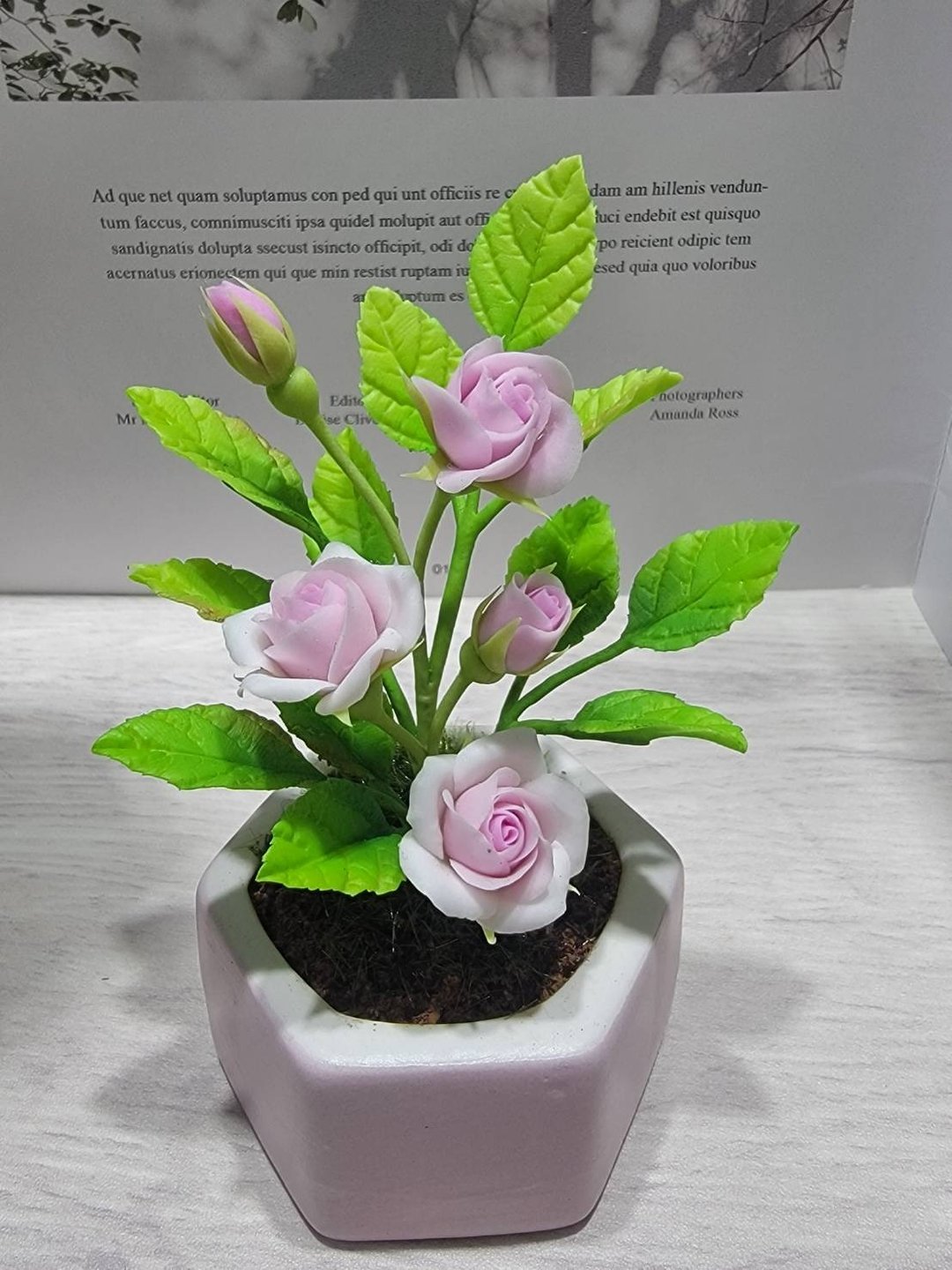 冷瓷土/黏土花艺-玫瑰花小盆栽 - 植栽/盆栽 - 粘土 