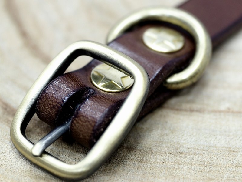 狗骨头造型名牌意大利植鞣皮项圈--大地色系款 - 项圈/牵绳 - 真皮 咖啡色