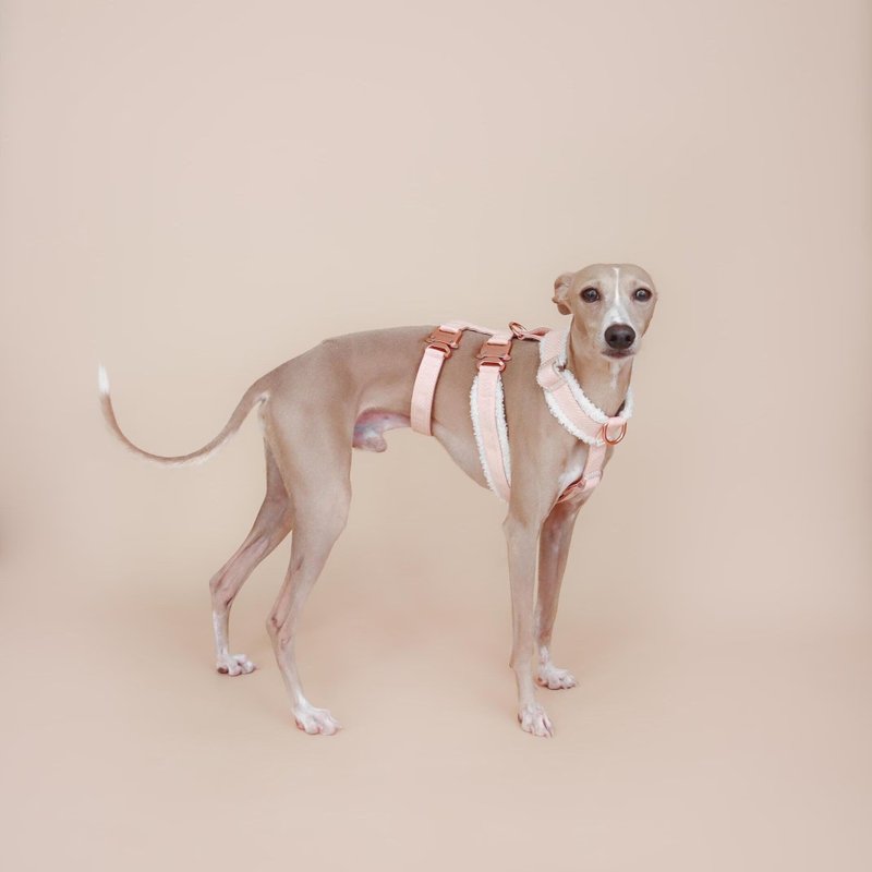 【Linécru】XII 绒毛胸背带 (共14色) - 项圈/牵绳 - 聚酯纤维 多色