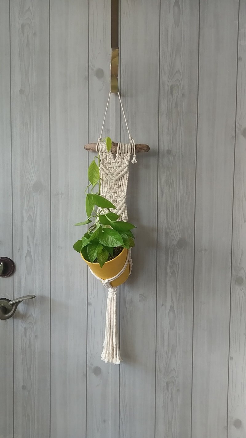 手工编织挂饰 漂流木 植物挂饰 含图中植物Macrame plant Hanging - 植栽/盆栽 - 植物．花 绿色