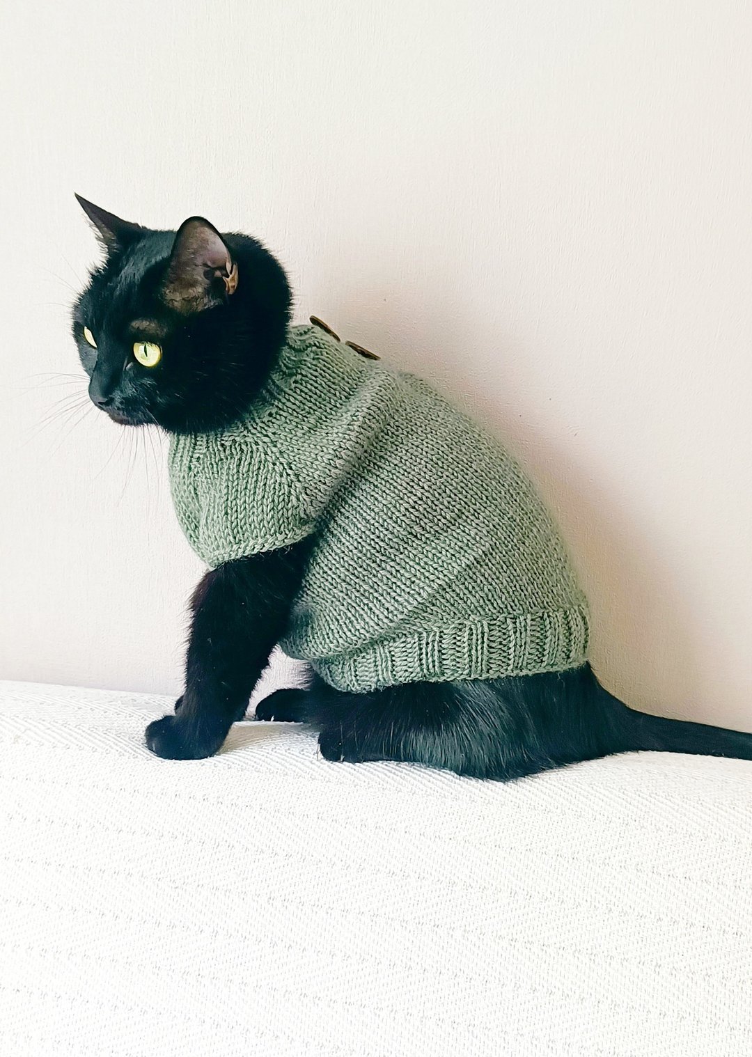 猫毛衣 宠物小型犬 针织猫衣 保暖宠物衣物 猫毛衣 - 衣/帽 - 羊毛 