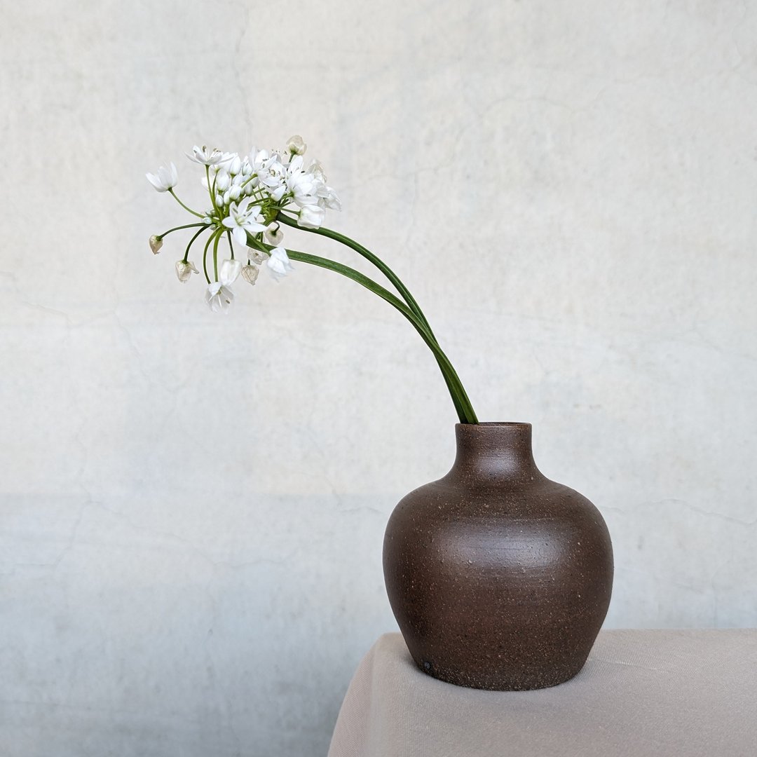 摩卡苹果 花器 花瓶 - 花瓶/陶器 - 陶 咖啡色